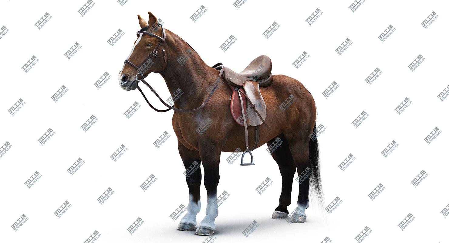 images/goods_img/2021040235/Saddled Horse/2.jpg